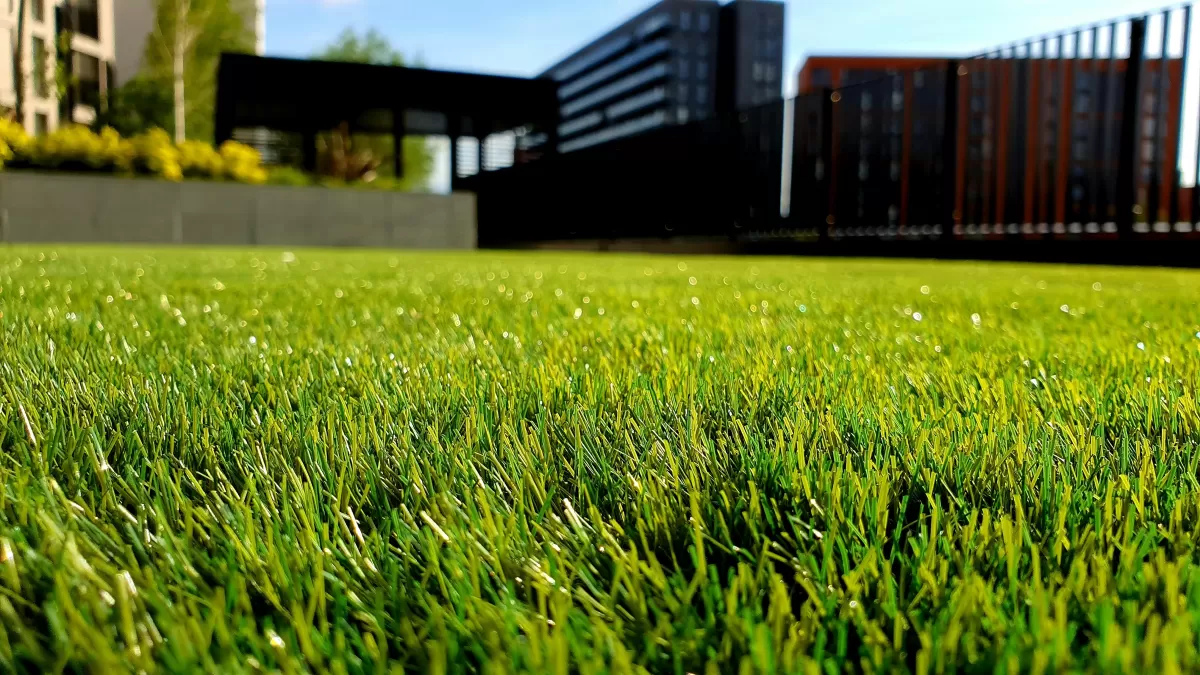 Instant Greenery: Why Sod Installation is the Best Choice for Your Pittsburgh Home
