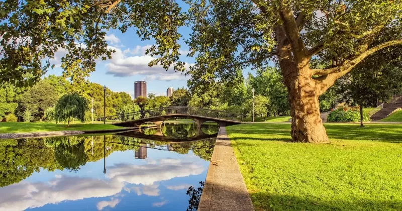 Beauty and Functionality: Why Professional Landscaping is Essential in Pittsburgh