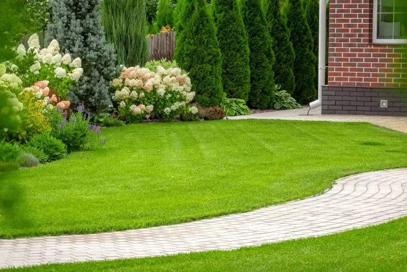 New Lawns / Sod